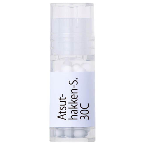 Atsut-Hakken-S