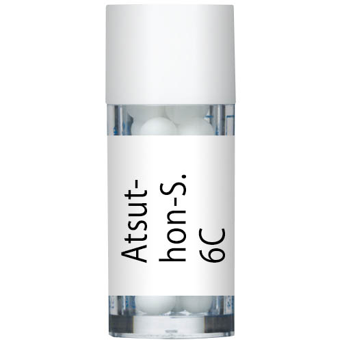 Atsut-hon-S