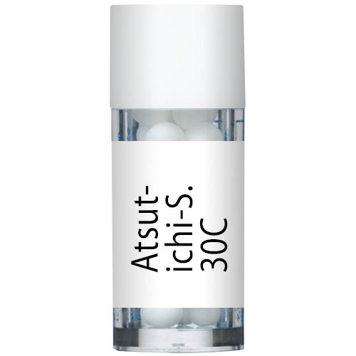 Atsut-Ichi-S