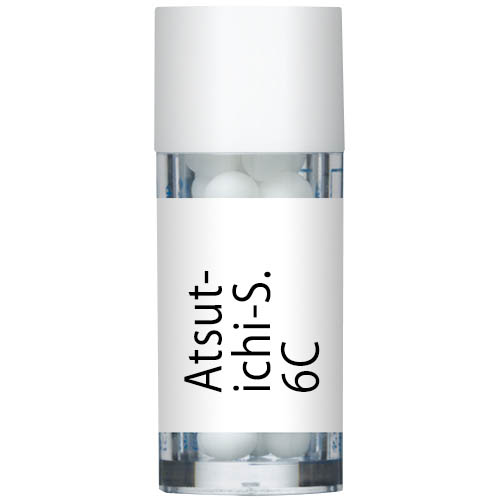 Atsut-Ichi-S