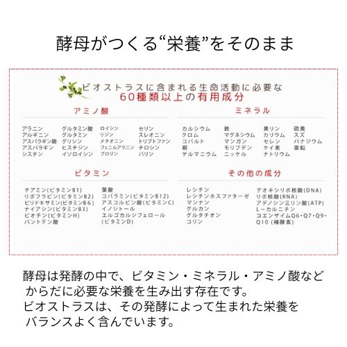 酵母発酵 栄養補助食品