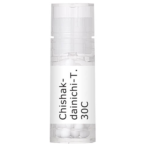 Chishak-dainichi-T