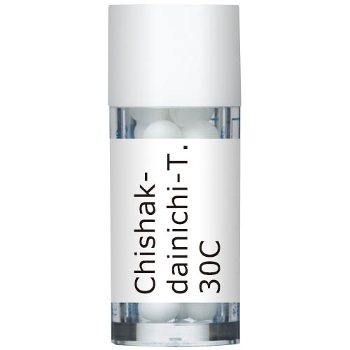 Chishak-dainichi-T