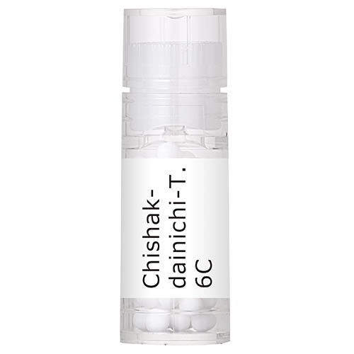 Chishak-dainichi-T
