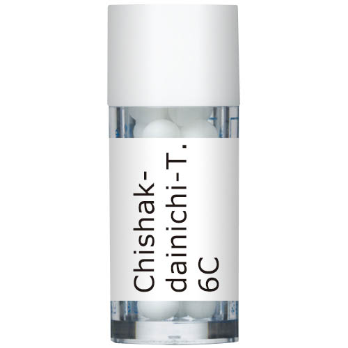 Chishak-dainichi-T