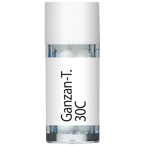 Ganzan-T