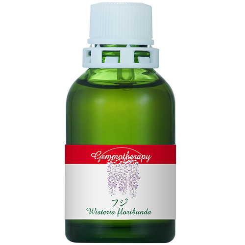 GM）ジェモセラピー フジ