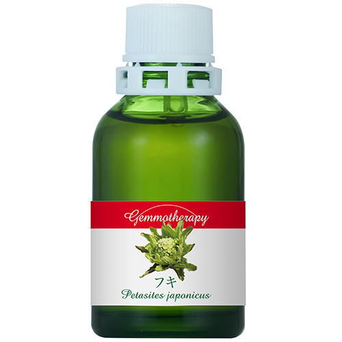 GM）ジェモセラピー フキ