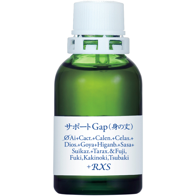 サポートφGap（身の丈）