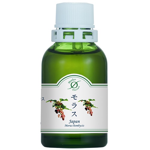 モラスJ／クワ(小)洞爺産マザーチンクチャー