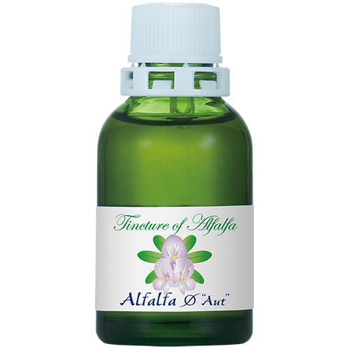 Thuja-V0M5：コンビネーションチンクチャー20ml | ホメオパシー