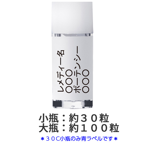 Chish-Dai. 智積院・金堂・大日如来／チシャクインダイニチ