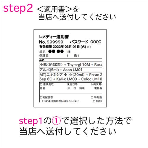レメディー適用書｜ホメオパシージャパン正規販売店 レメディコム