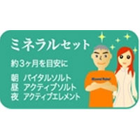 ミネラルセット｜レメディ.com　ホメオパシージャパン正規販売店