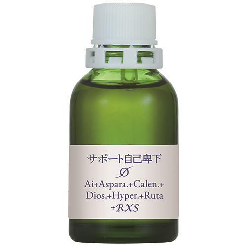 サポートφ自己卑下