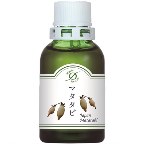 マタタビ（アクティニディア ポーリガマ）(小)洞爺産マザーチンクチャー