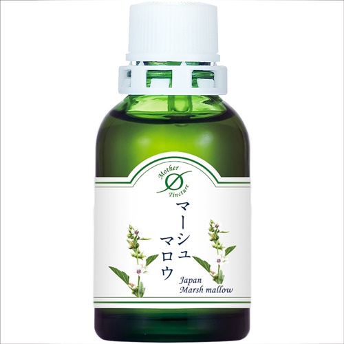 MT)マーシュマロウΦ 小