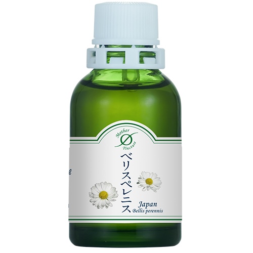 ベリスペレニスJ／ヒナギク（Shure）(小)洞爺産マザーチンクチャー