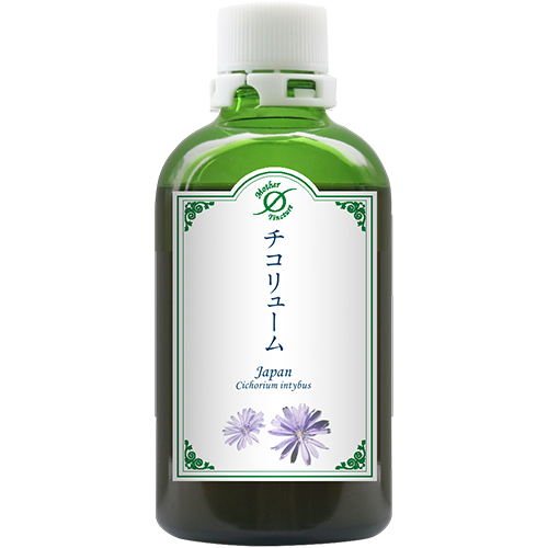 チコリューム／キクニガナ（Kan）(大)洞爺産マザーチンクチャー