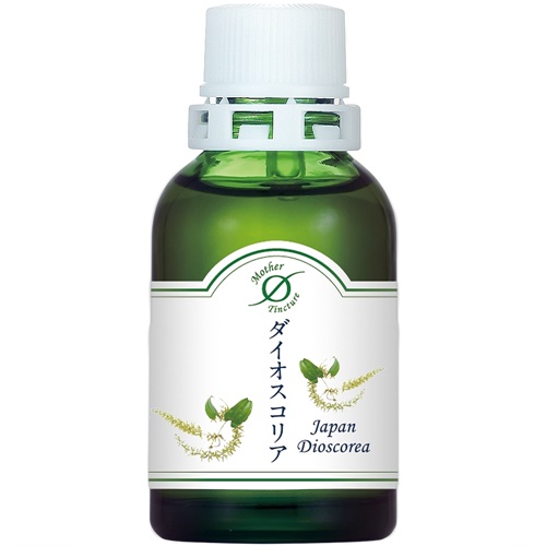 ダイオスコリア／Dioscorea（小）英国産マザーチンクチャー