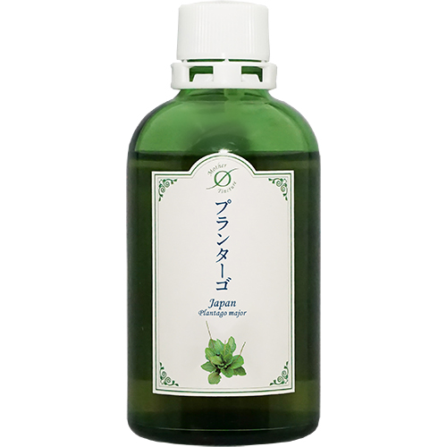 MTプランターゴJ（大）