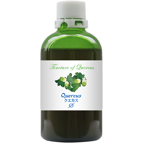 クエカス／Quercus（小）英国産マザーチンクチャー