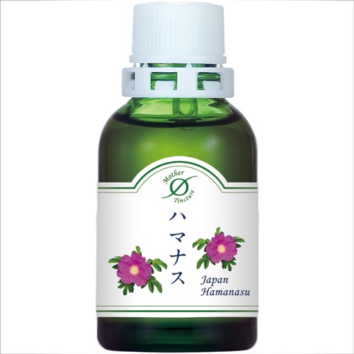 MT)ハマナスΦ 小