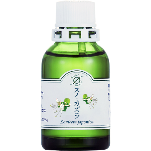 MT)スイカズラΦ 小（20mL）