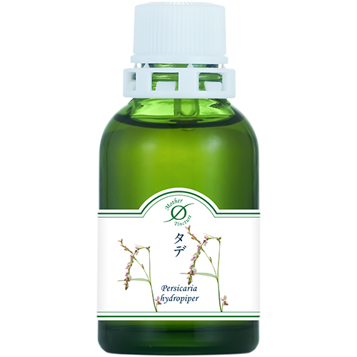 タデ／Tade(小)洞爺産マザーチンクチャー