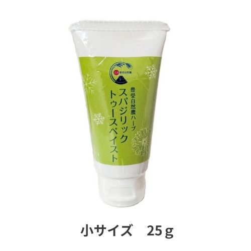 スパジリックトゥースペイスト（小）
