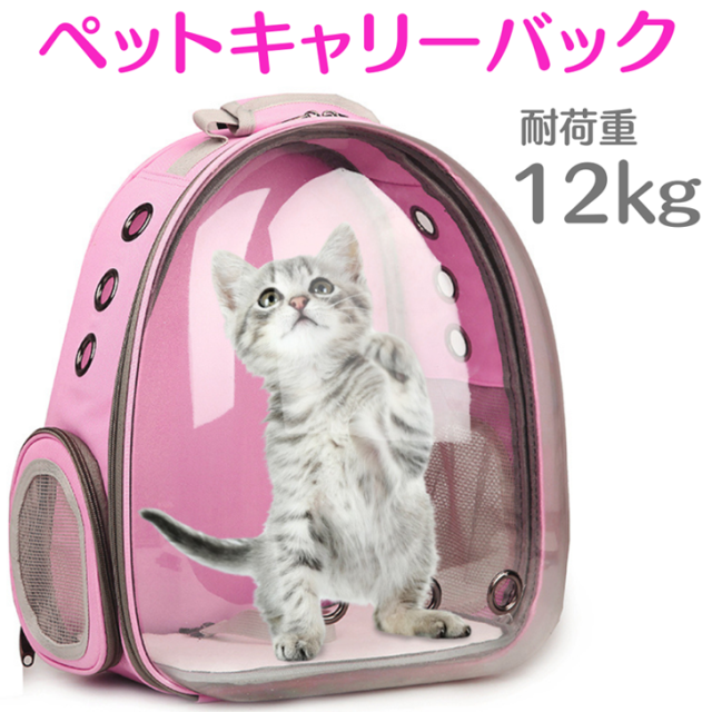 キャリーバッグ　リュック　ピンク