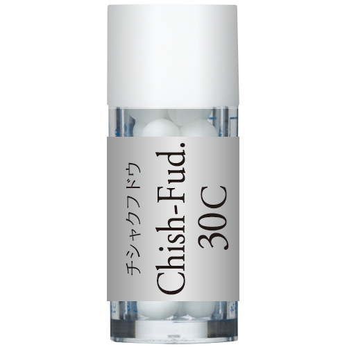 Chish-Fud./ 智積院・明王殿・不動明王（チシャクフドウ）  ホメオパシージャパンレメディー