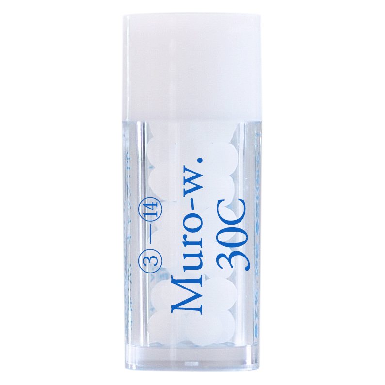 Muro-w./ 室生寺の手水  ホメオパシージャパンレメディー