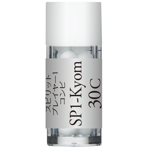 SP1-Kyomu/ 虚無　スピリットプレイヤーキット