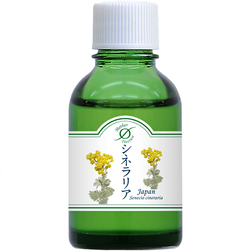 MT)シネラリア　マザーチンクチャー　ホメオパシージャパン