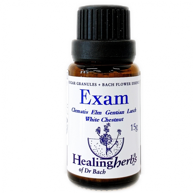 エグザムシュガーグラニュール 集中力  ヒーリングハーブス　フラワーエッセンス