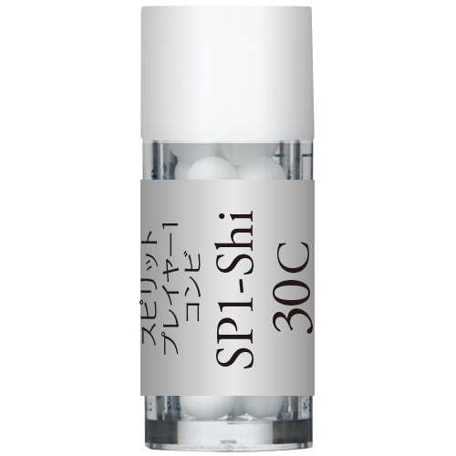 SP1-Shi/ 死の恐れ スピリットプレイヤーキット