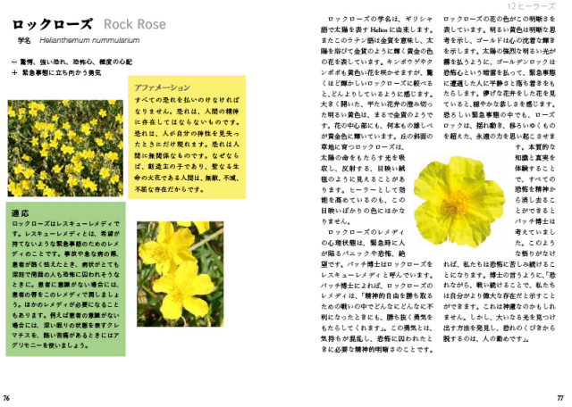 写真でたどるバッチフラワー｜ホメオパシージャパンレメディー