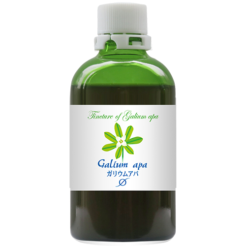 MT)ガリウム アパリネ Φ 大 100ml  マザーチンクチャー　ホメオパシージャパン