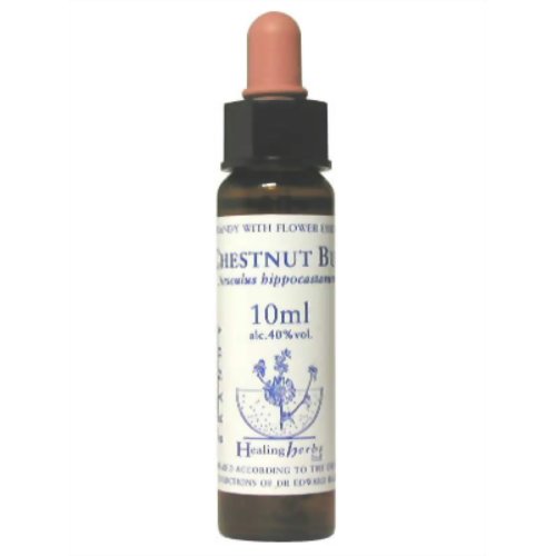 【おトク】 チェストナットバッド Bud/ヒーリングハーブス Chestnut その他