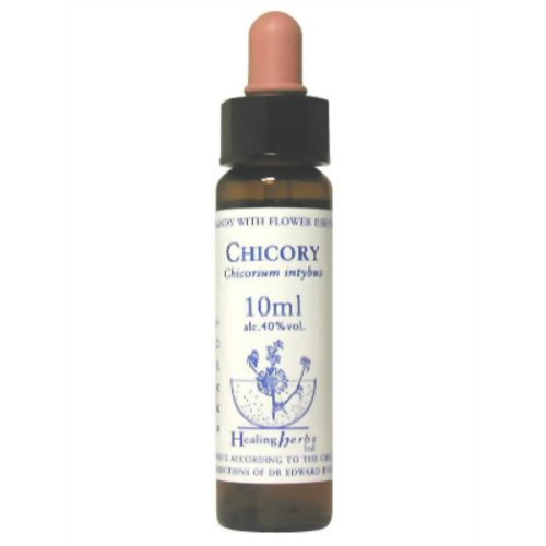 チコリー Chicory　ヒーリングハーブ バッチフラワーエッセンス