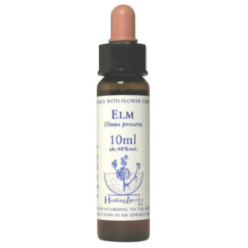 エルム Elm　ヒーリングハーブ バッチフラワーエッセンス