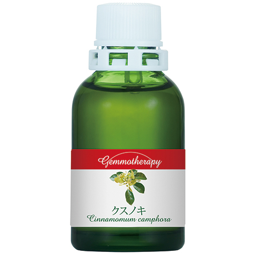 GM)クスノキ　ジェモエッセンス　ホメオパシージャパン