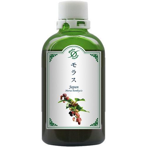 MT)モラス Φ　大 100ml  ホメオパシージャパン　マザーチンクチャー
