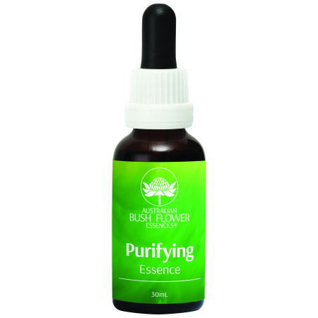 Purifying ピュリファイング(浄化)/オーストラリアンブッシュ