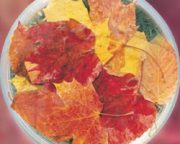 オ-タム・リーブス　Autumn　Leaves/オーストラリア・ブッシュ・フラワーエッセンス