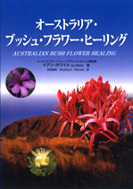 マクロカーパ Macrocarpa/オーストラリアンブッシュ