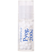 新品　ホメオパシー　synsesis 8.１ポケットサイズ　opathy ホメオパシー synsesis 8.1ポケットサイズ homeopathy