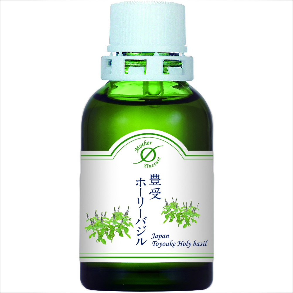 MT)豊受ホーリーバジルΦ（オシマム アフリカナム）　ホメオパシージャパン　マザーチンクチャー