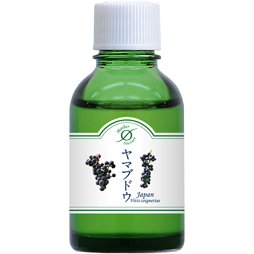 MT)ヤマブドウ Φ　小 20ml  マザーチンクチャー　ホメオパシージャパン